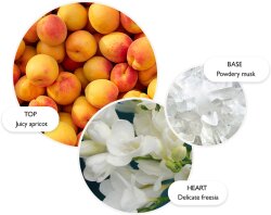 Molton Brown Graceful Apricot & Freesia Körperlotion 300 ml