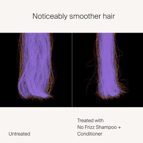Living proof No Frizz Shampoo 60 ml