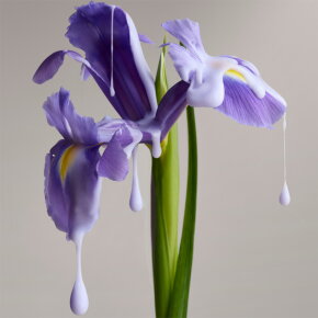 Christophe Robin Shade Variation Shampoo 250 ml