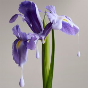 Christophe Robin Shade Variation Conditioner 200 ml