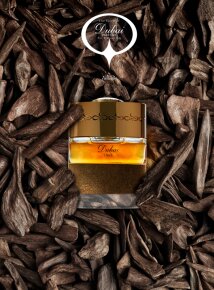 The Spirit of Dubai Oud Eau de Parfum (EdP) 50 ml