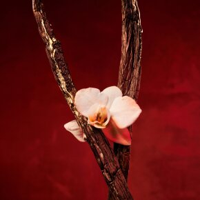 Hugo Boss Boss Alive Absolu Parfum Intense 50 ml