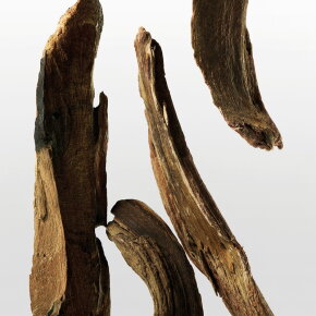 Calvin Klein CK One Essence Eau de Parfum (EdP) 50 ml