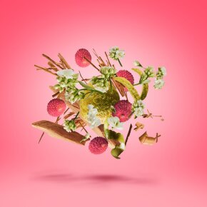 XERJOFF Elle Anniversary Eau de Parfum (EdP) 50 ml