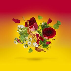 XERJOFF Casamorati Levar del Sole Eau de Parfum (EdP) 100 ml