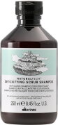 Davines Natural Tech Detoxifying Scrub Shampoo Davines Natural Tech Detoxifying Scrub Shampoo
