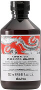 Davines Natural Tech Energizing Shampoo Davines Natural Tech Energizing Shampoo