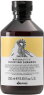 Davines Natural Tech Purifying Shampoo