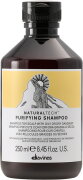 Davines Natural Tech Purifying Shampoo