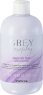 Inebrya Greylosophy Grey By Day Shampoo