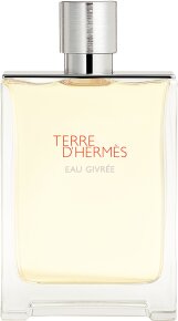 Hermès Terre d'Hermès Eau Givrée Eau de Parfum (EdP) 175 ml