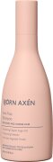 Björn Axén Anti-Frizz Shampoo 250 ml