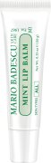 Mario Badescu Mint Lip Balm 10 g