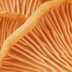 MÁDARA HIS Face Cream 50 ml