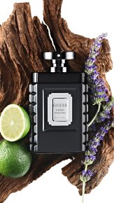 Guess Uomo Intenso Eau de Parfum (EdP) 100 ml