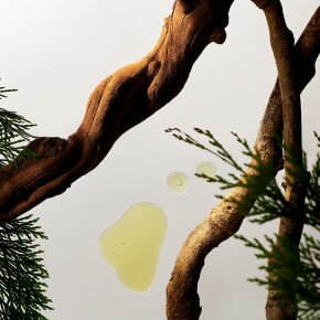 Rituals Homme Car Air Freshener 6 g