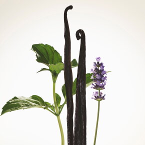 Burberry Goddess Eau de Parfum (EdP) Intense Refill 150 ml