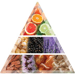 Balmain Hair Couture Homme Hair Perfume 100ml