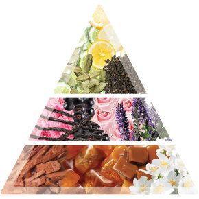 Balmain Hair Couture Hair Perfume Cardamom 1974 100ml