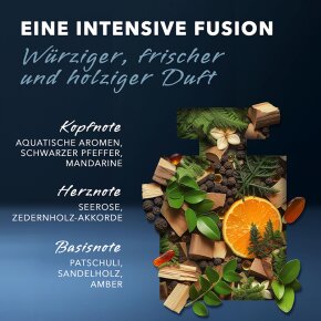 Mexx Black Man Eau de Parfum (EdP) 50 ml