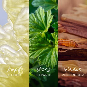 Mexx Inspired Nature Man Eau de Parfum (EdP) 30 ml