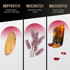 Bruno Banani Loyal Man Shower Gel 250 ml