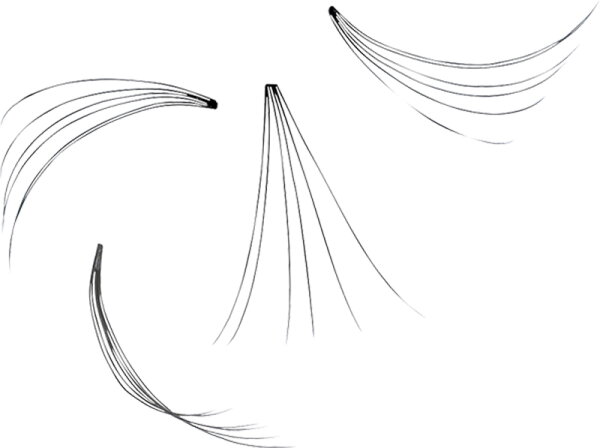 4052136106558 - ARTDECO Augen Wimpern Dauerwimpern Nr 6 Short Natural Black 1 Stk