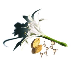 CLARINS Nutri-Lumière SPF 15 50 ml