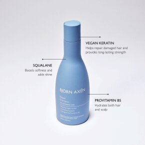 Björn Axén Repair Shampoo 250 ml