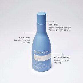 Björn Axén Repair Conditioner 250 ml