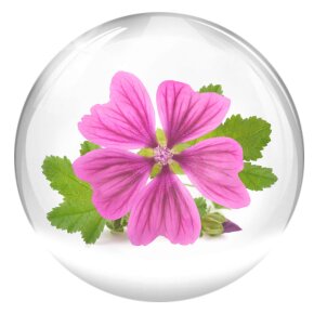 Valmont Vital B. Serum 30 ml