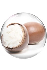 Valmont Vital Regenera I Rich Creme 50 ml