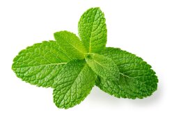 Valmont Vital Contour Cream 15 ml