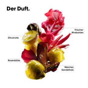 L`Oréal Professionnel Vitamino Color Spectrum Shampoo Refill 500 ml