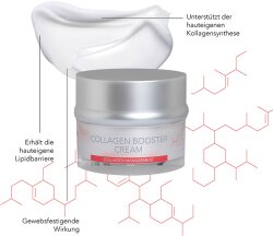 Rolf Stehr DermoConcept Collagen Management Collagen Booster Cream 50 ml