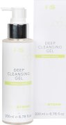 Rolf Stehr DermoConcept Impure Skin Deep Cleansing Gel