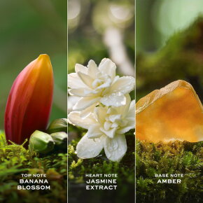 Marc Jacobs Daisy Wild Eau so Intense Eau de Parfum (EdP) 30 ml