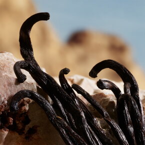 Dolce&Gabbana Q Parfum 100 ml