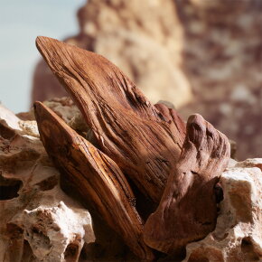 Dolce&Gabbana K Parfum 50 ml