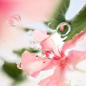 Lancôme ÔVER THE TOP Eau de Toilette (EdT) 100 ml