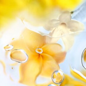 Lancôme Ô ZENITH Eau de Toilette (EdT) 100 ml