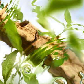 Lancôme ÔFF NOW Eau de Toilette (EdT) 100 ml