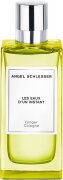 Angel Schlesser Les Eaux d'un Instant Ginger Cologne Eau de Toilette (EdT) 100 ml
