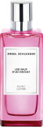 Angel Schlesser Les Eaux d'un Instant Exotic Lychee Eau de Toilette (EdT) 100 ml