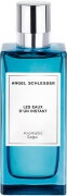 Angel Schlesser Les Eaux d'un Instant Aromatic Sage Eau de Toilette (EdT) 100 ml