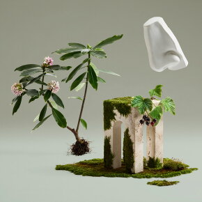 Penhaligon's Daphne Bouquet Eau de Parfum (EdP) 100 ml