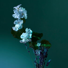 Penhaligon's A Balm of Calm Eau de Parfum (EdP) 50 ml