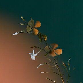 Penhaligon's A Kiss of Bliss Eau de Parfum (EdP) 100 ml