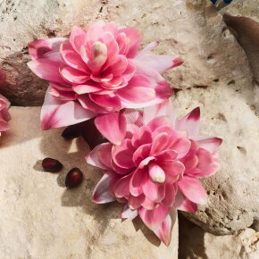 Dolce&Gabbana Light Blue Capri in Love Eau de Parfum (EdP) 100 ml