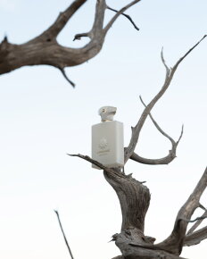 Amouage Decision Eau de Parfum (EdP) 100 ml